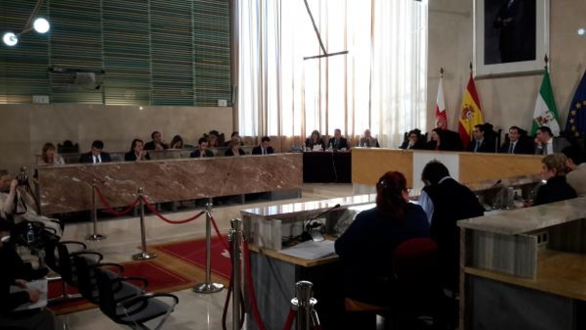 Última sesión plenaria del Ayuntamiento