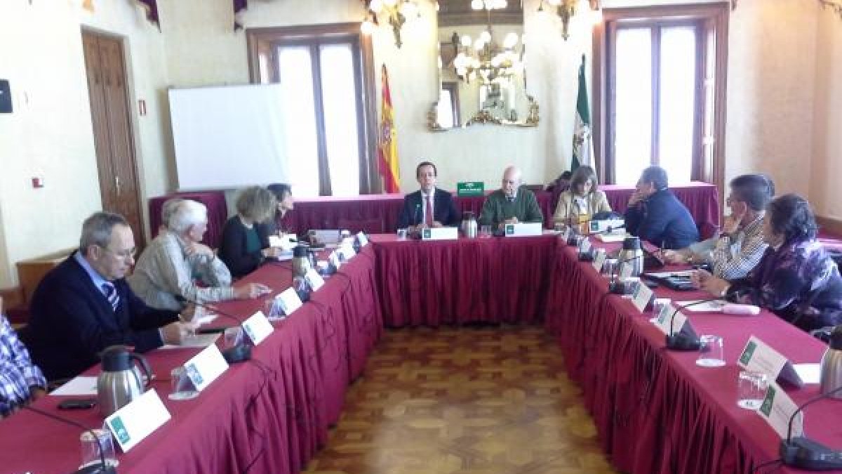 Reunión del Consejo Provincial de Mayores.