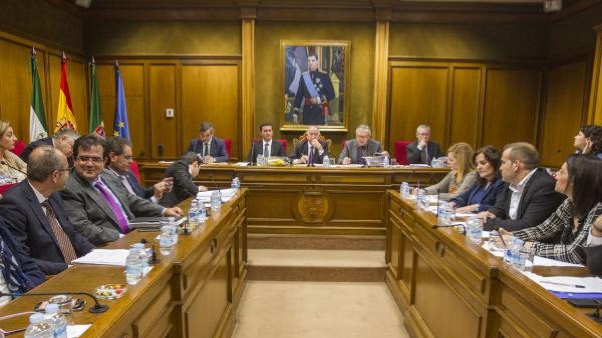Vista del pleno celebrado este viernes en la Diputación de Almería. LA VOZ