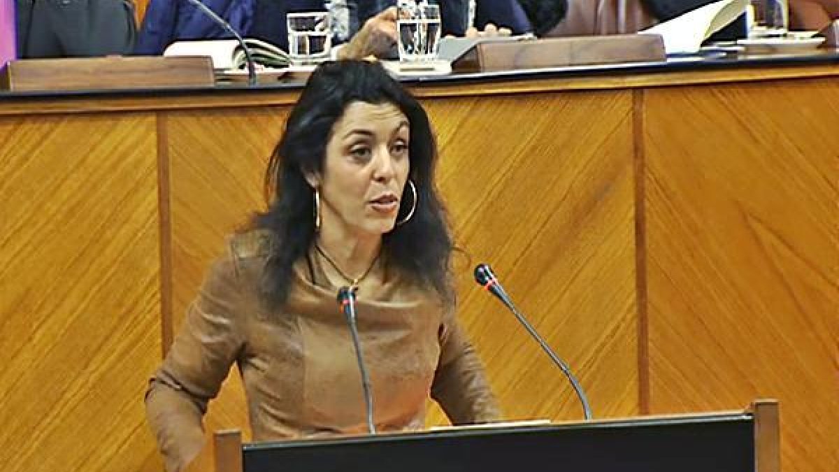 Marta Bosquet en un Pleno.