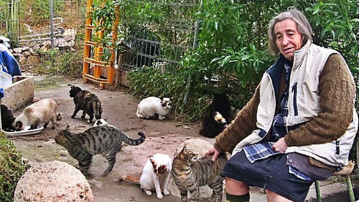 Lola vive sola desde que murió su madre, pero se consuela sabiendo que siempre hay un gato que la espera.
