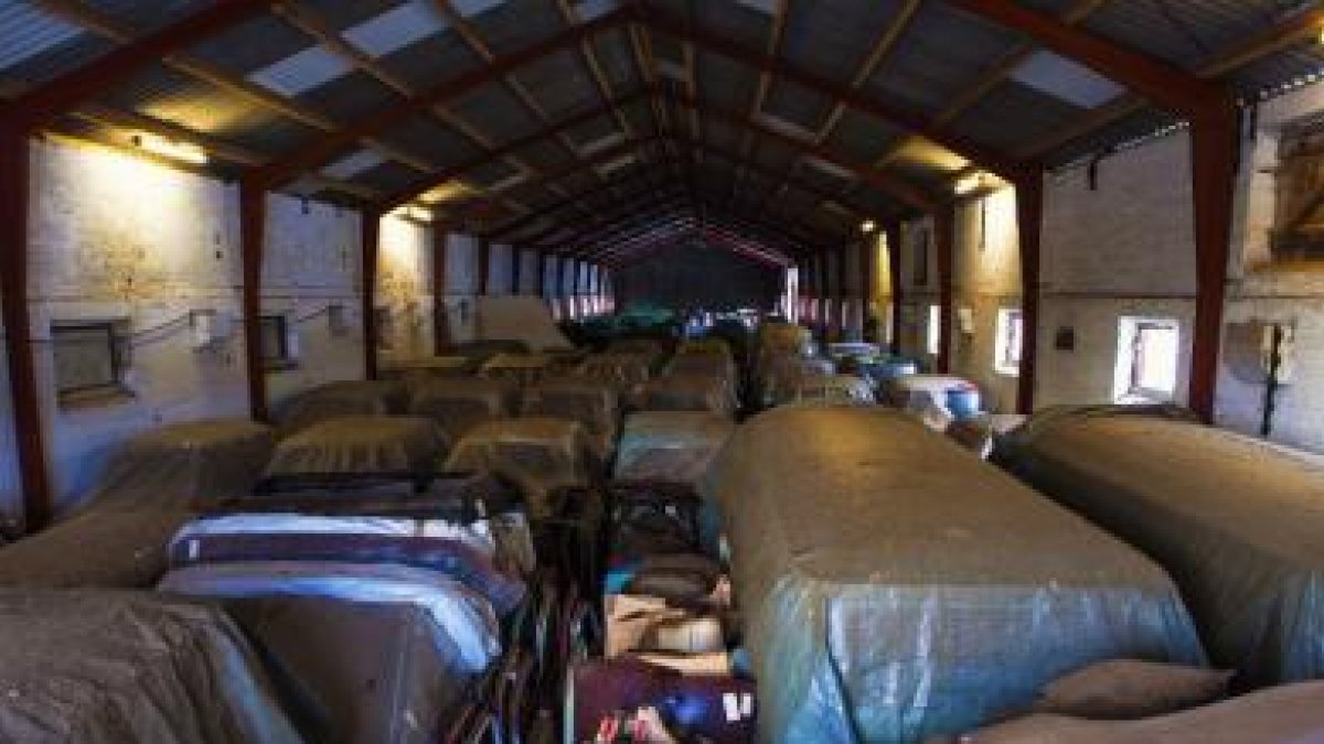 Colección de coches descubierta en una granja de Dinamarca.