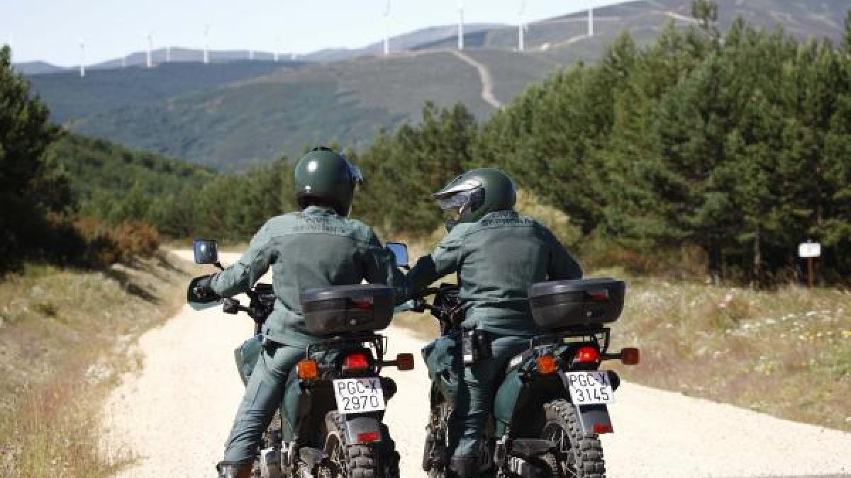 Agentes del Seprona en tareas de vigilancia.