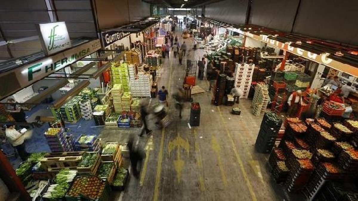 Frutas y hortalizas en Mercamadrid