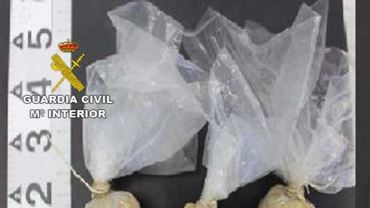 Bolas llenas de carne y veneno para elaborar cebos.