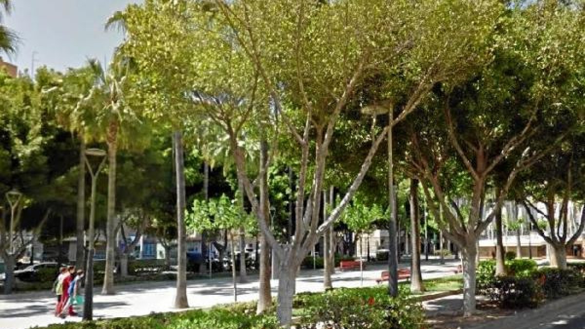 Zona en la que sucedieron los hechos