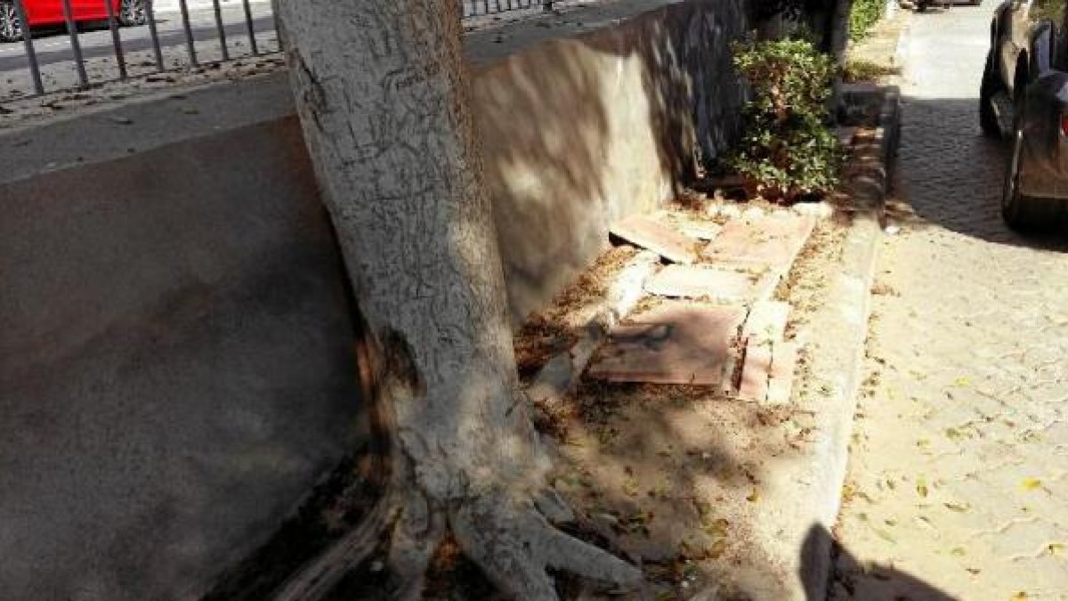 Imagen de una de las aceras de la calle Costa Verde