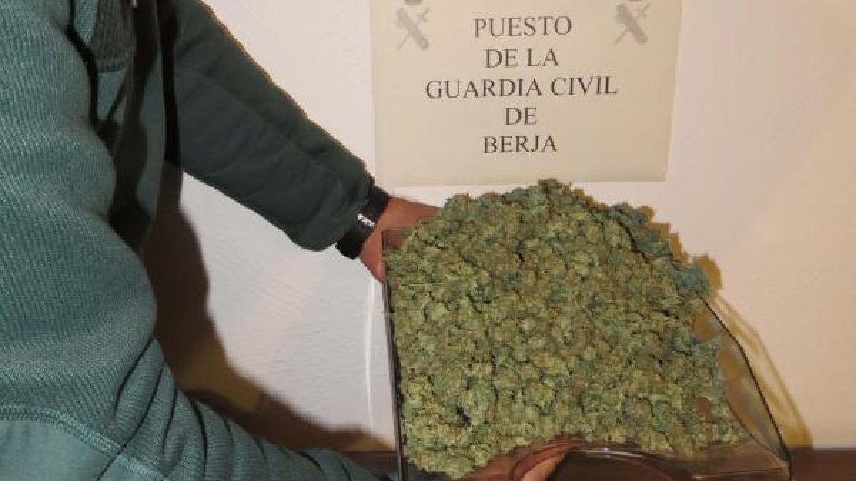 Droga recuperada por la Guardia Civil.