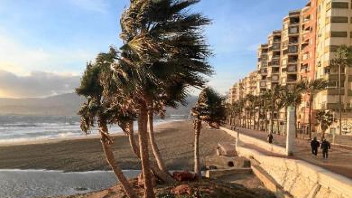 Playa de El Palmeral (Almería) ayer