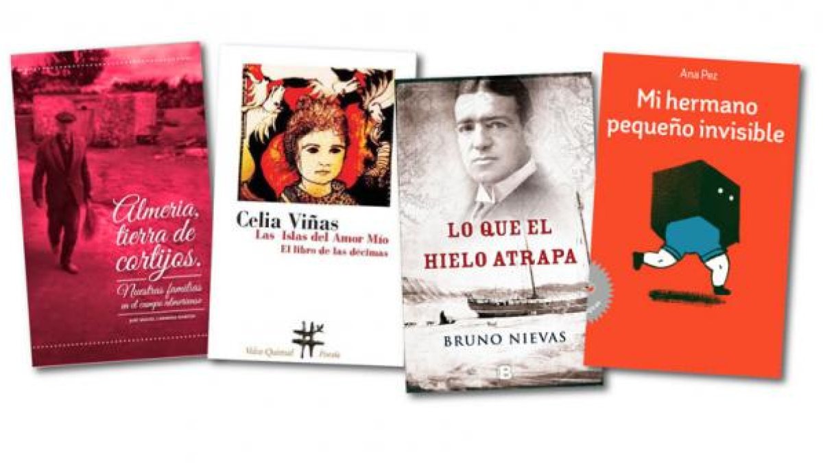 Portadas de los libros seleccionados en las cuatro categorías.