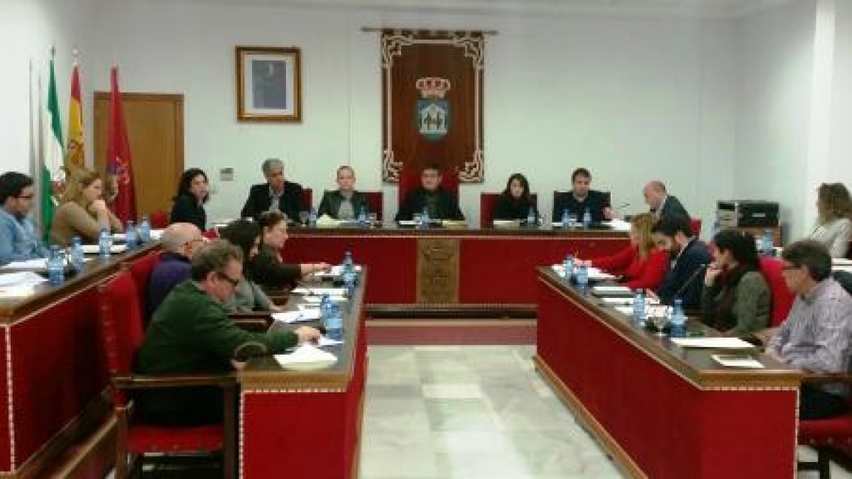 Pleno en el que se aprobaron estas bonificaciones.