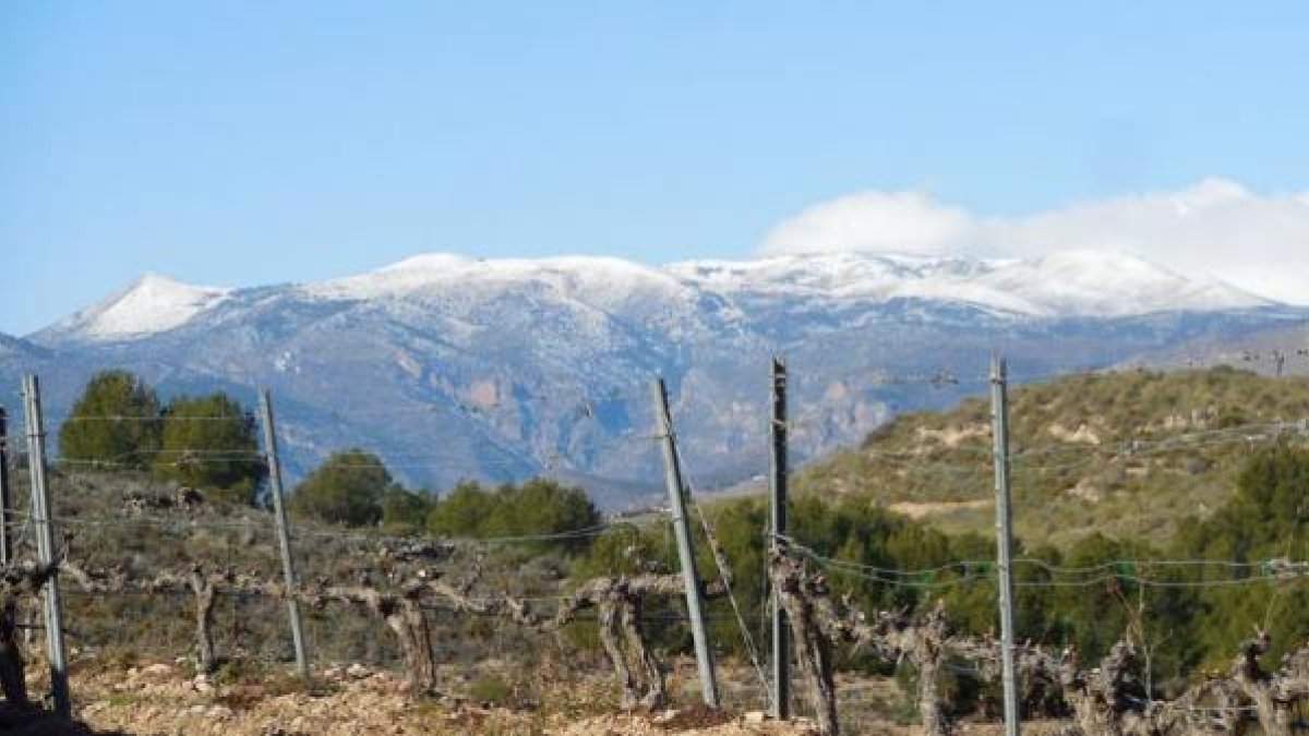 Espectacular vista de Sierra Nevada desde Finca Ánfora.