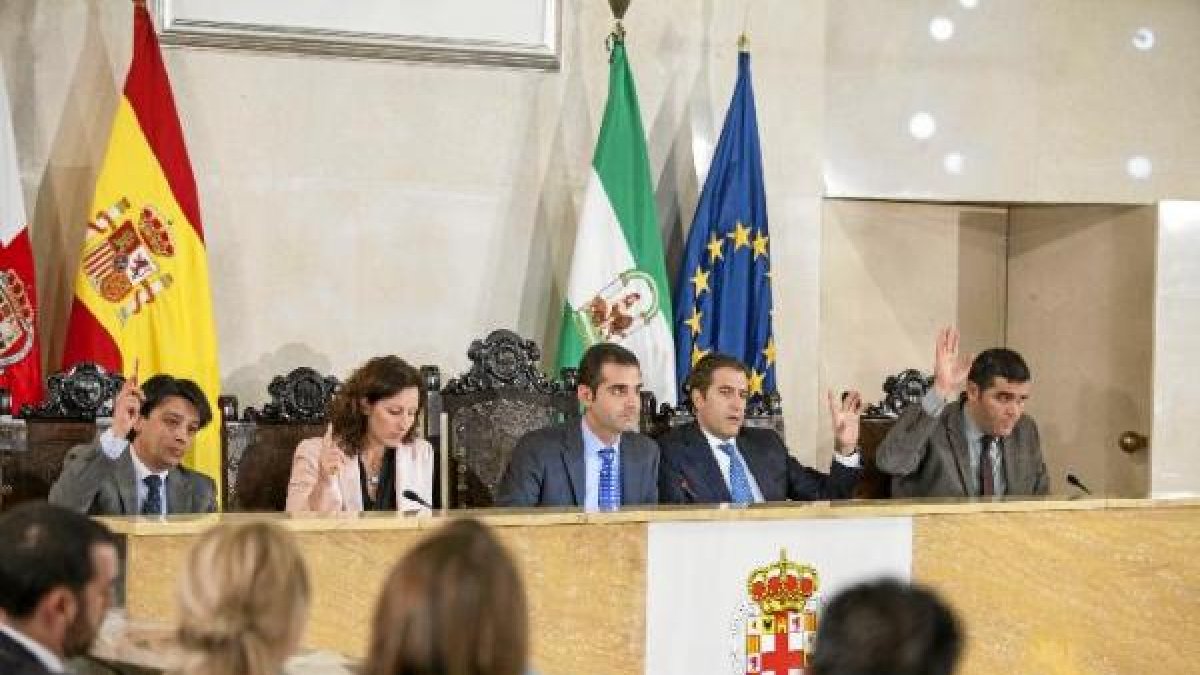 Imagen del Pleno en el Ayuntamiento de Almería