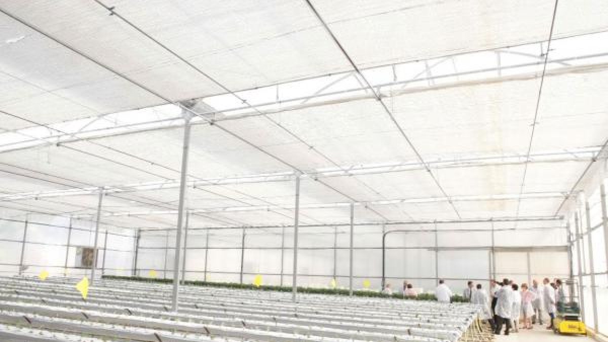 El sistema de mecanismos se ha diseñado para los invernaderos denominados de tipo capilla o multicapilla.