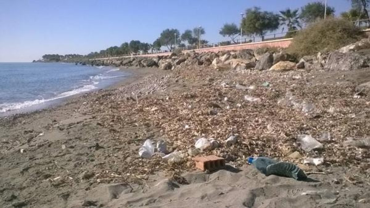 Imagen del estado de la playa de La Cañada