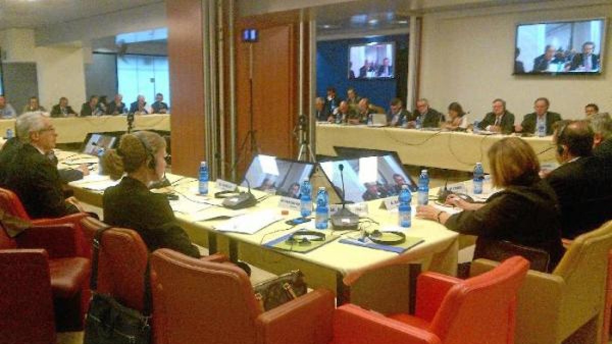 Comité franco-hispano-italiano del tomate