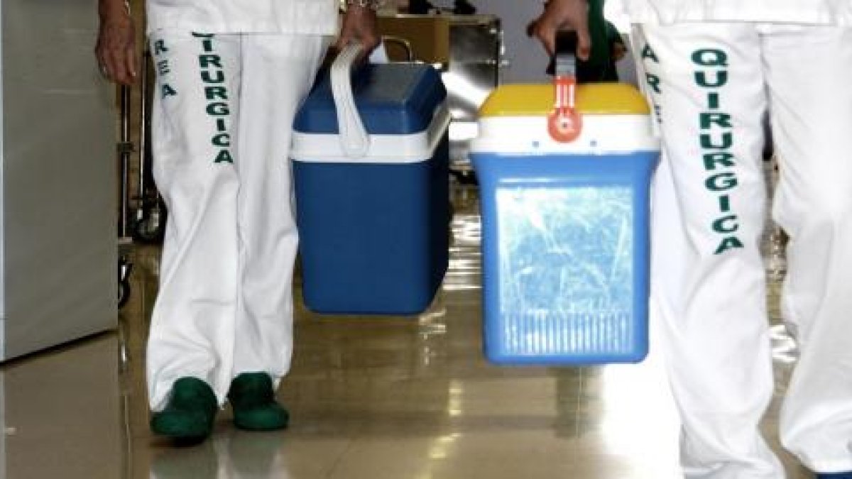 Sanitarios transportan órganos para su trasplante en Torrecárdenas.