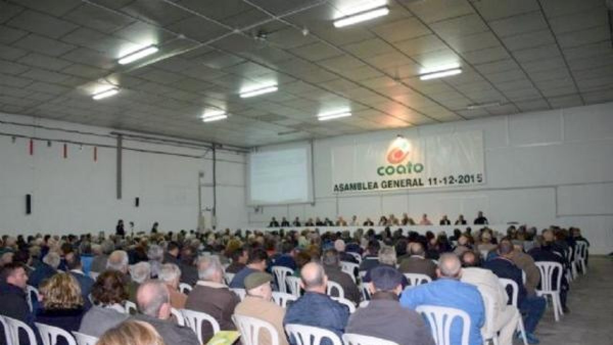 Instante celebrada el pasado viernes en la sede social de Totana.