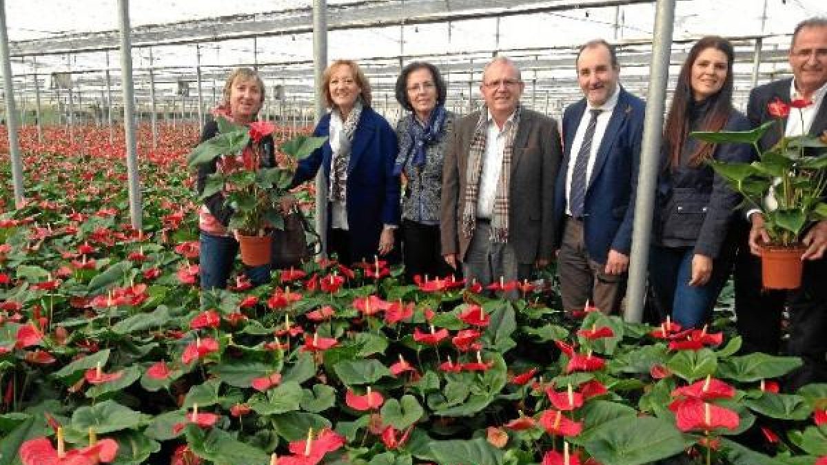 La consejera en su visita a Vivero Las Fresas en Vícar
