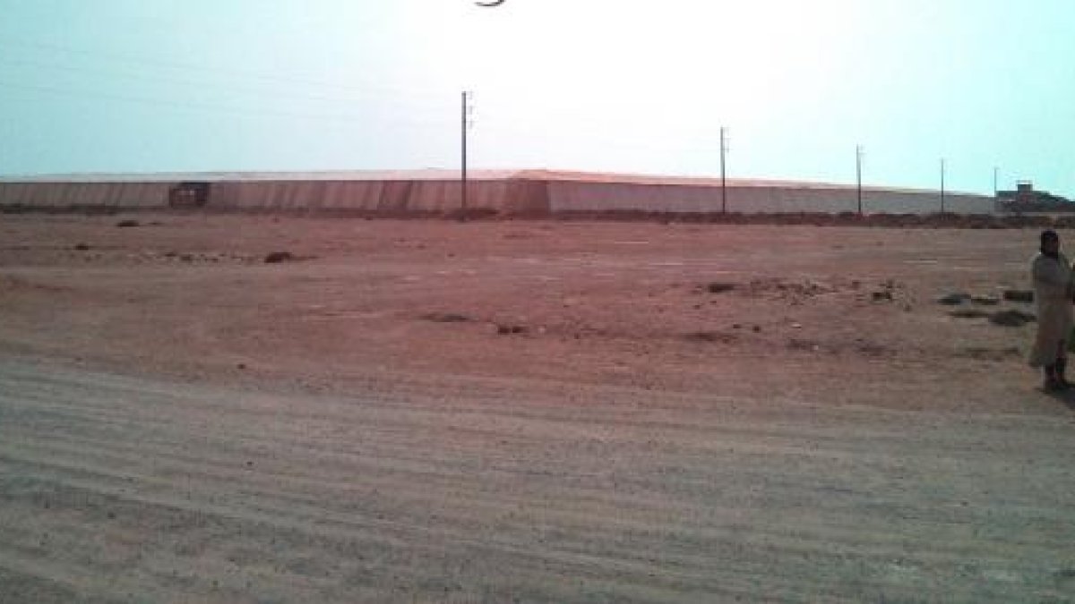 Marruecos obtiene una parte de su producción hortícola en el Sáhara Occidental.