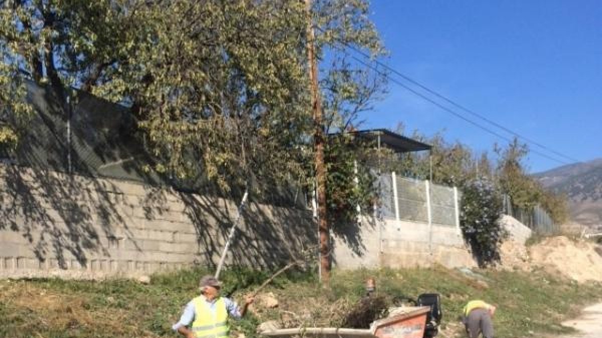 Trabajos de desbroce en caminos rurales.