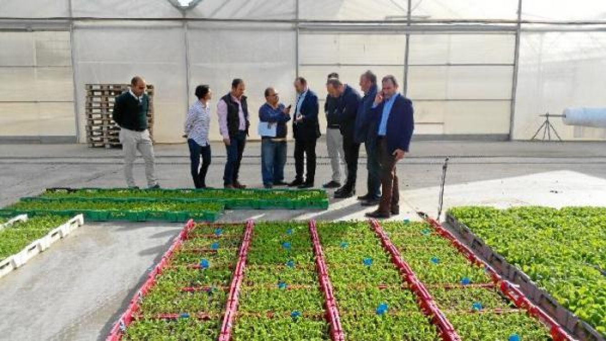 Visita del delegado José Manuel Ortiz Bono a las instalaciones de la compañía.