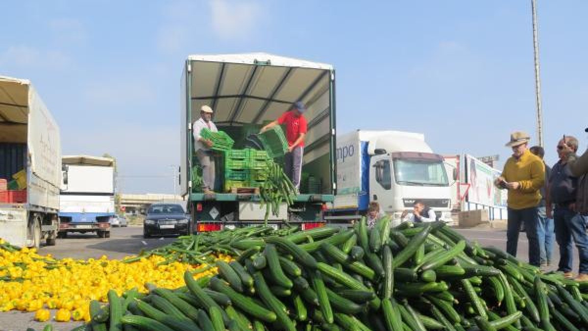 verdura lanzada en la explanada del Polígono la Redonda, en El Ejido.