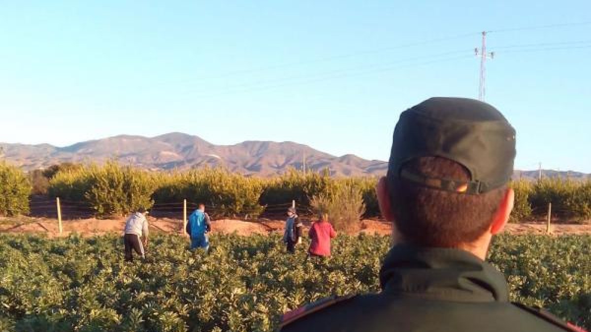 Un agente observa a trabajadores en la finca.