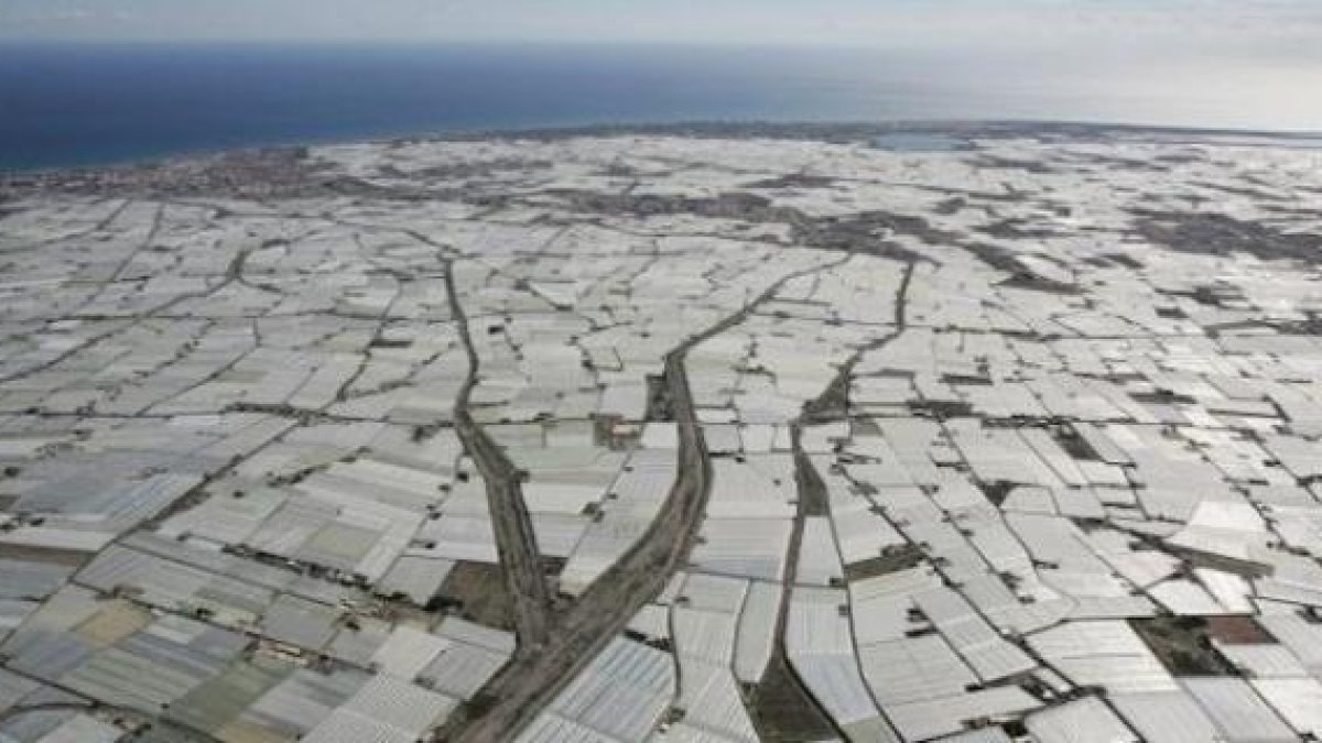 Imagen del mar de plástico de el Ejido.