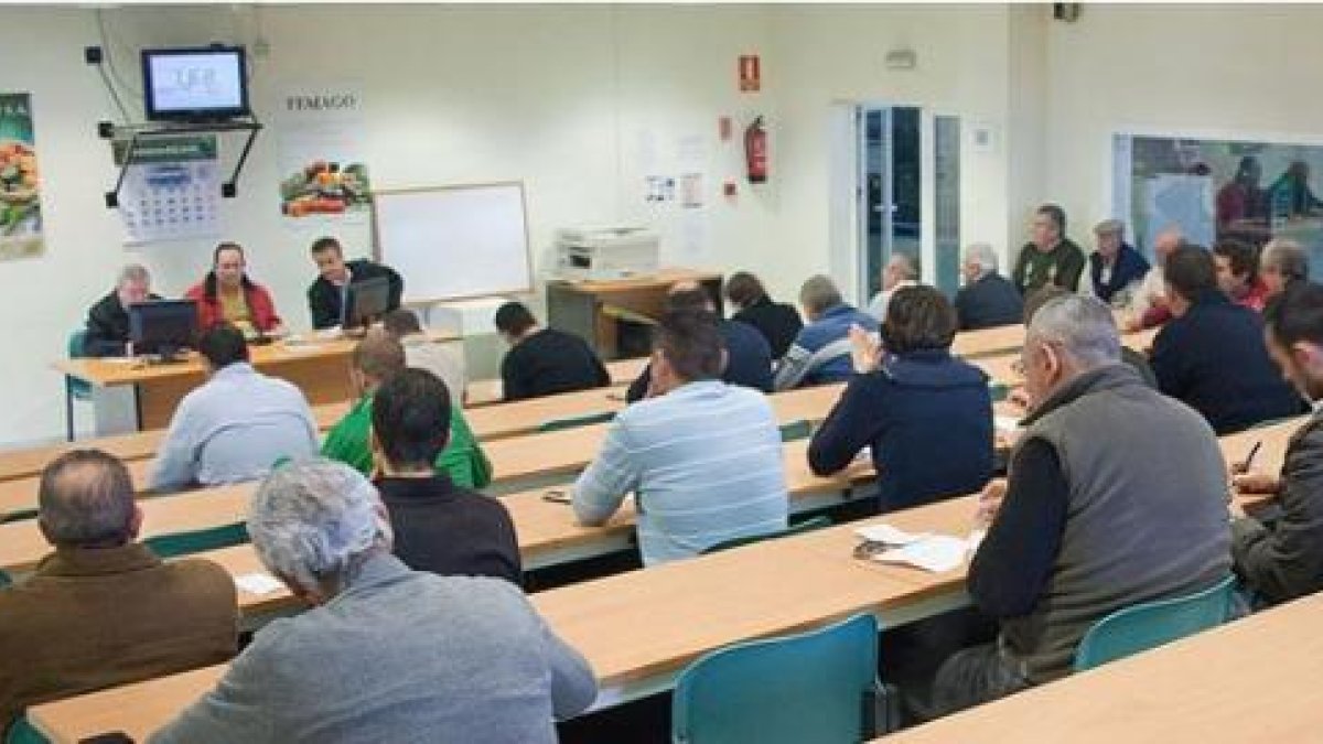 Sala de subasta de Femago en El Ejido.