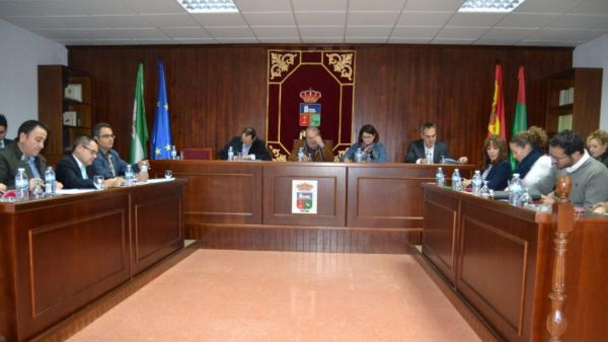 Fotografía tomada durante el Pleno.