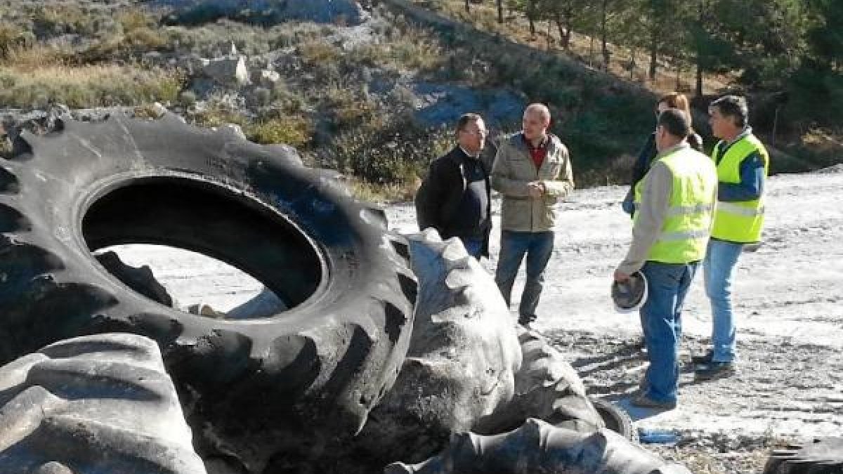 El delegado de Medio Ambiente ha comprobado los trabajos de retirada.