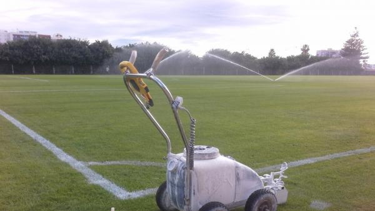 Nuevo césped en la Vega.