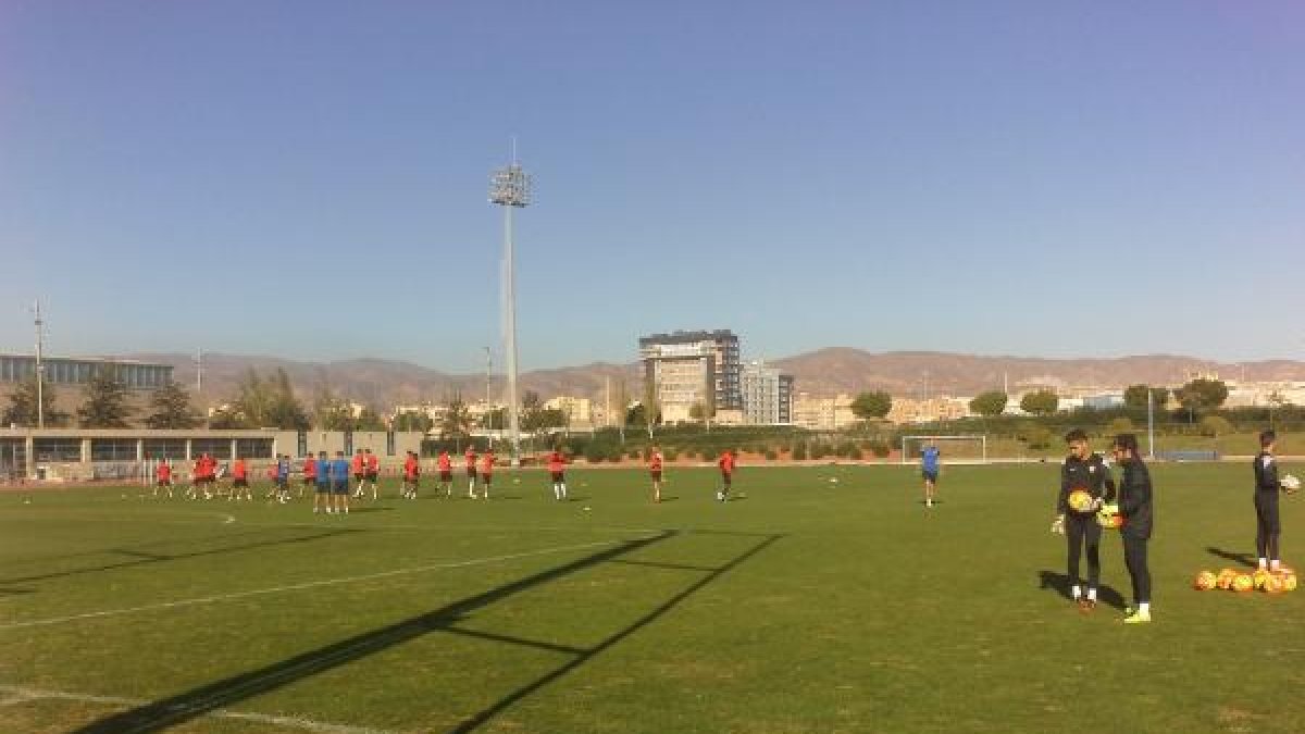 Comienza el entrenamiento.