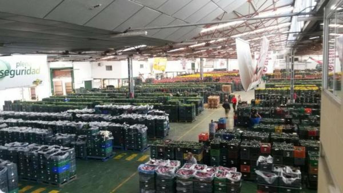 Subasta agrícola en un almacén