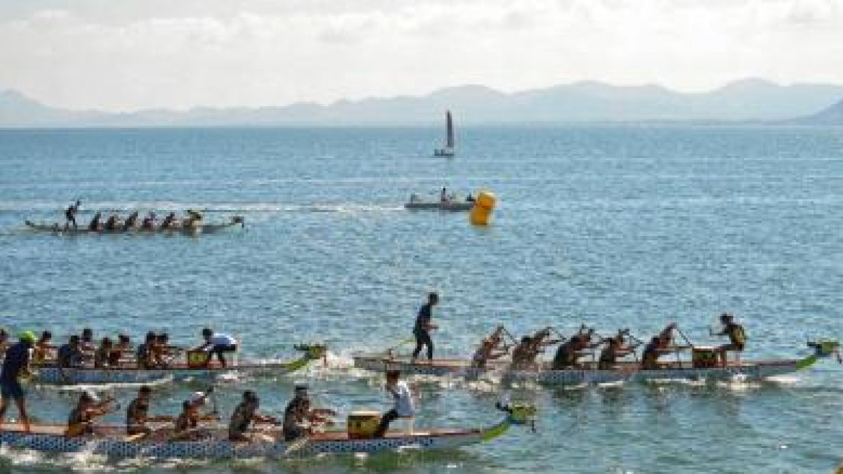 Los Troncos siguen creciendo.