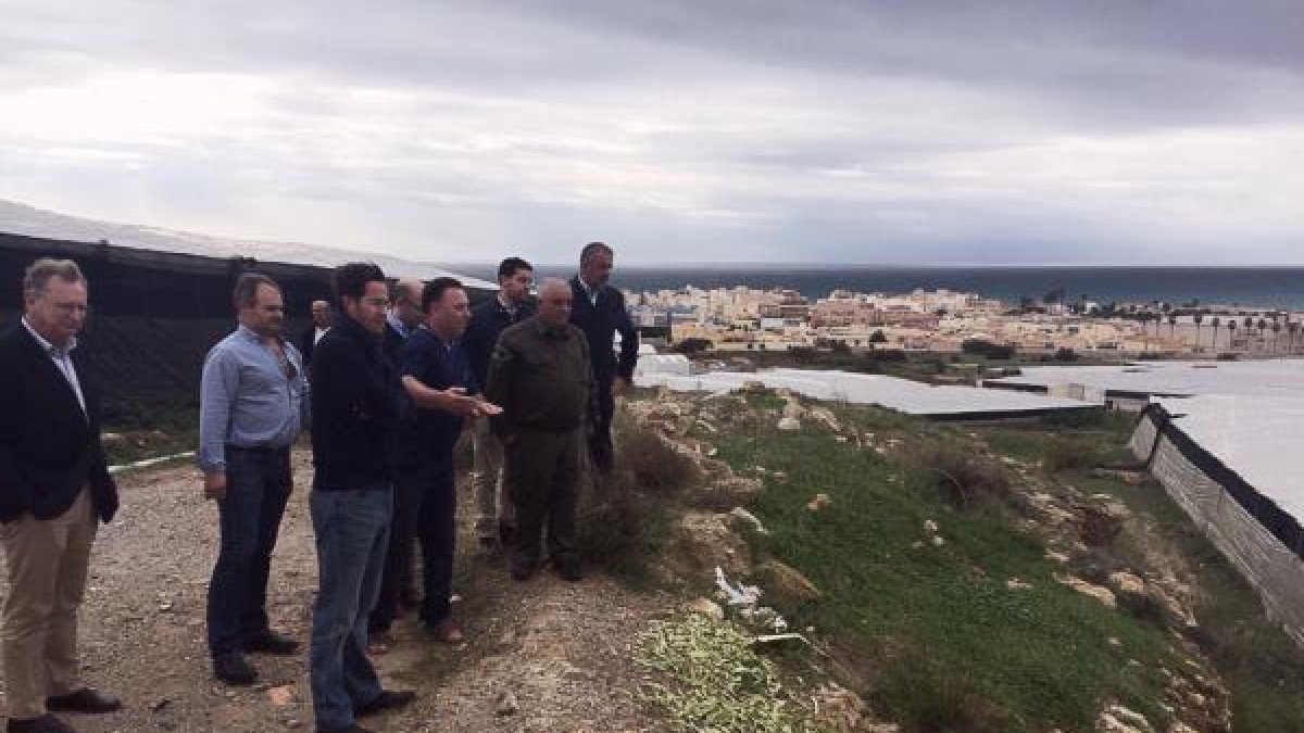 El alcalde de El Ejido junto con los técnicos del área de Agricultura.