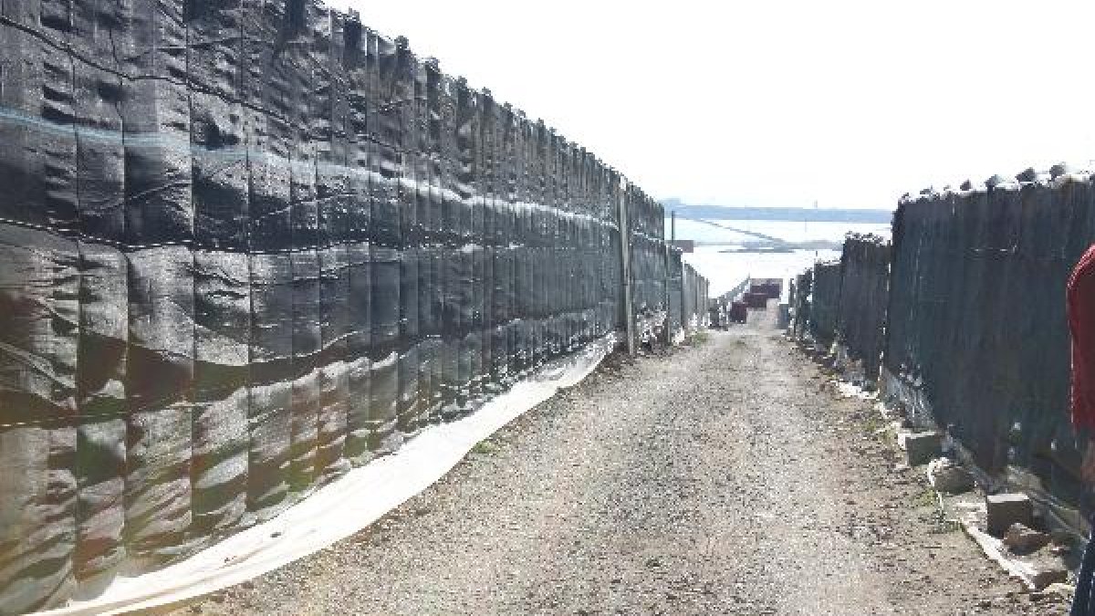 Invernaderos en El Ejido.