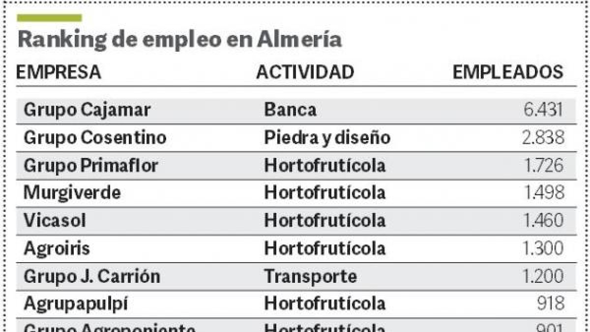 Ranking provincial de empresas con más empleados