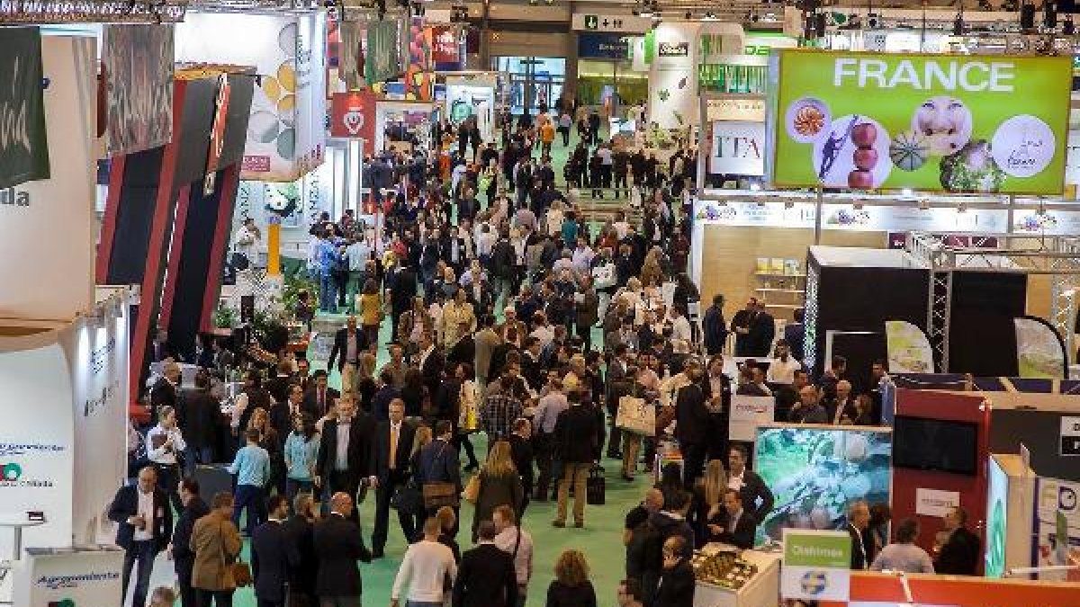 La Feria Internacional de frutas y hortalizas de Madrid hace coincidir a operadores de distintos países.