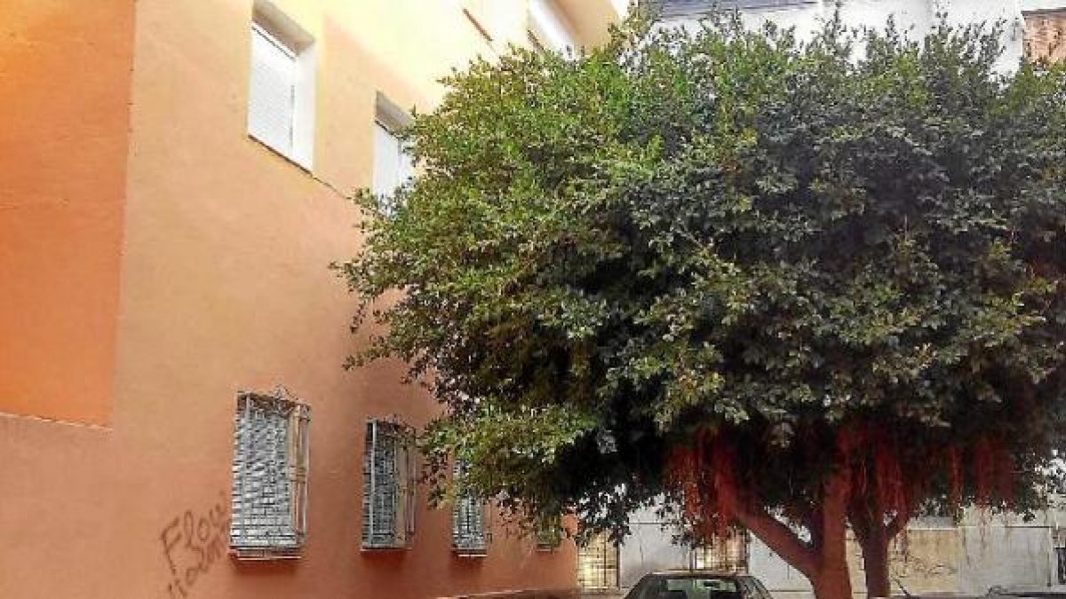 Árboles sin podar frente las ventanas de viviendas en la calle Juan de la Cosa