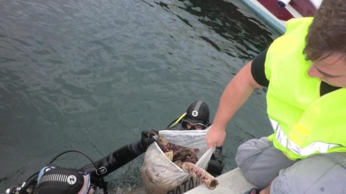 Basura recogida del fondo del puerto de Aguadulce
