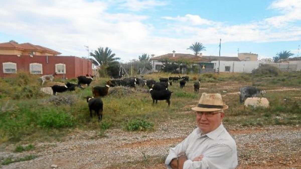 Un vecino vigila sus cabras en Palomares, a pocos kilómetros de la zona restringida.