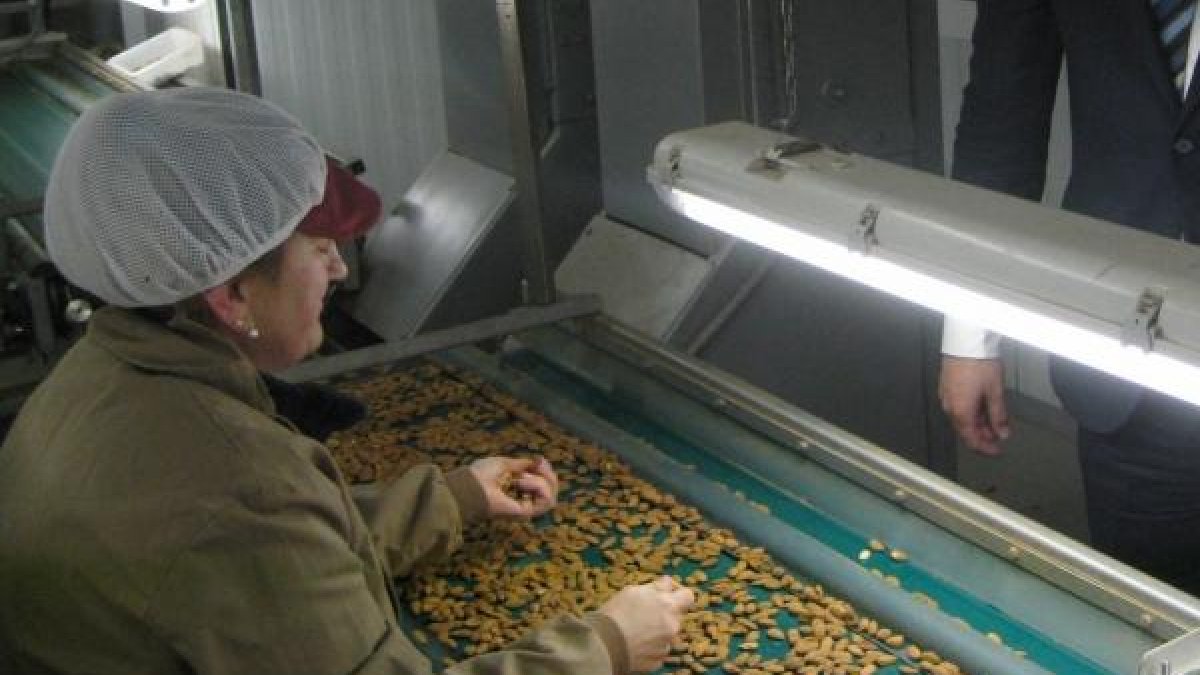Una planta de procesado de almendra en Albanchez.