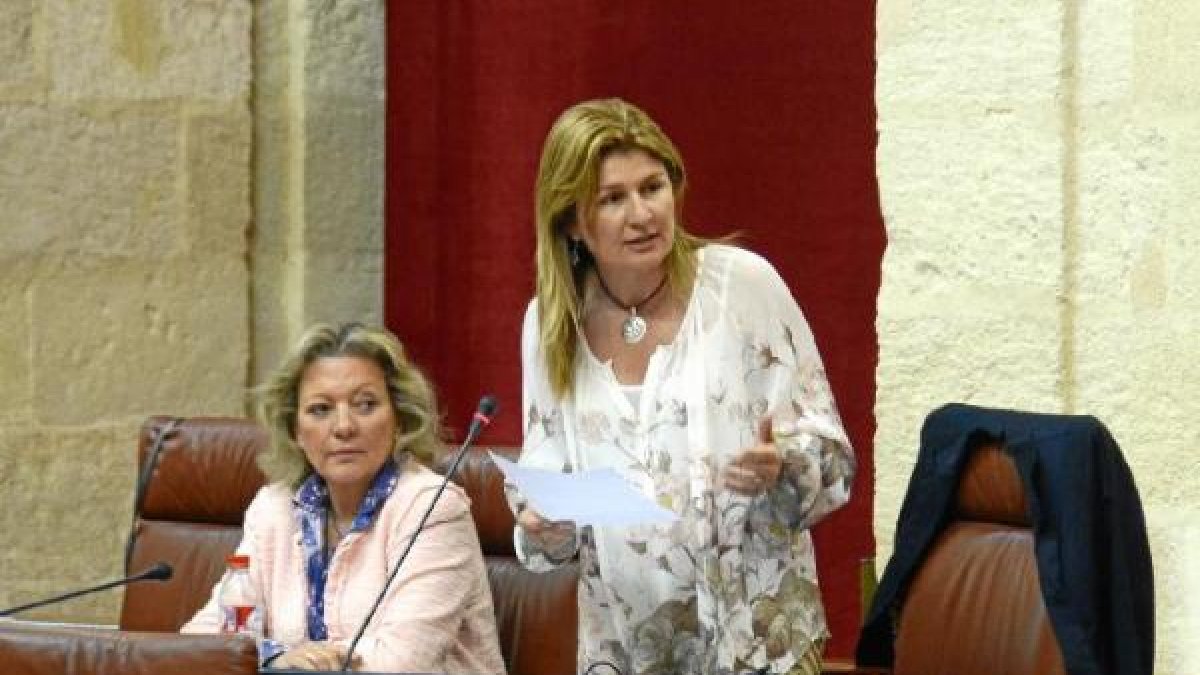 Espinosa (de pie) durante su intervención.