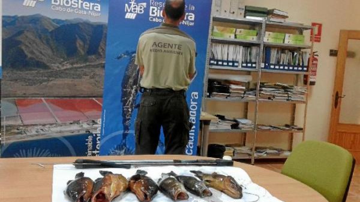 El pescado capturado fue entregado a un centro benéfico de la capital.