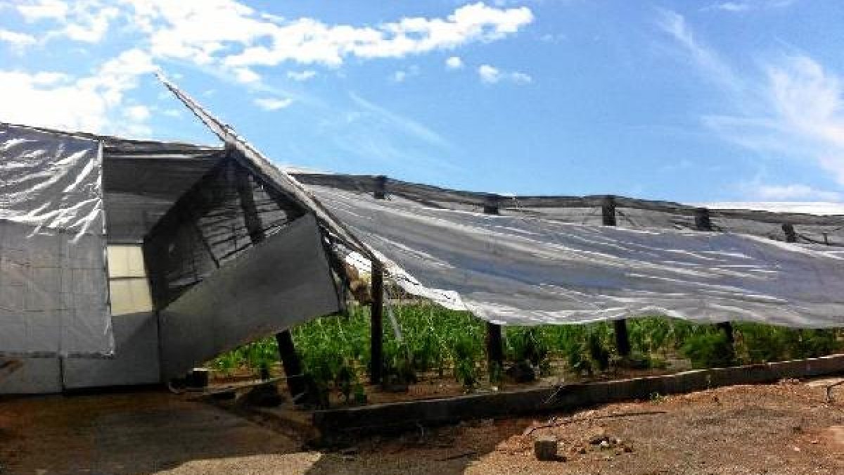 Finca afectada por las últimas lluvias.