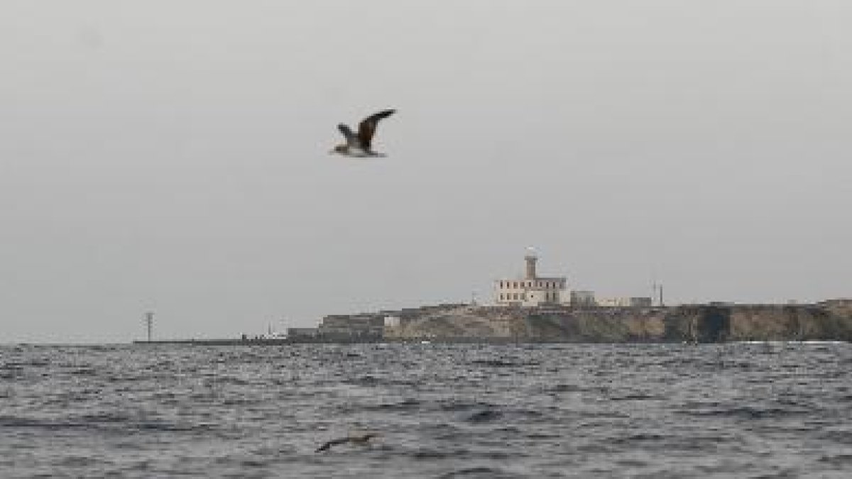 Isla de Alborán a donde ha llegado la patera con 25 personas.