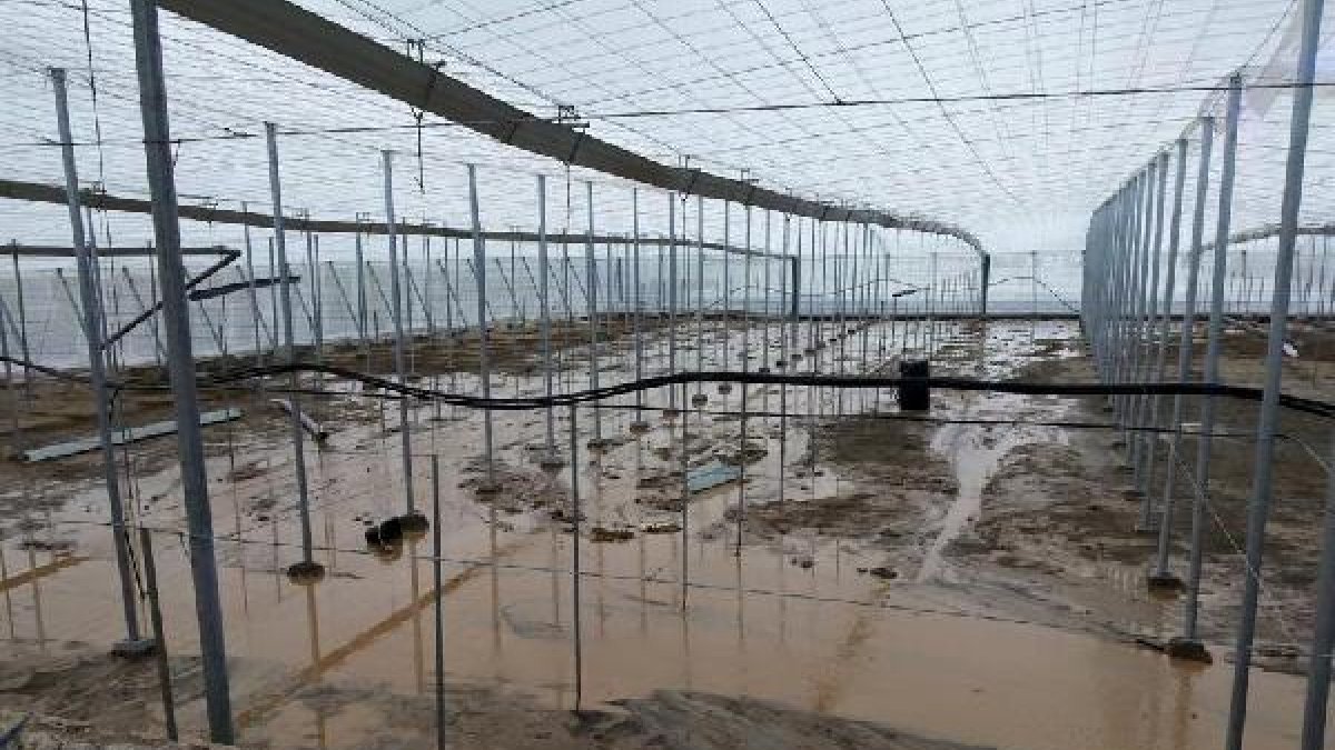 Invernadero anegado por el agua.
