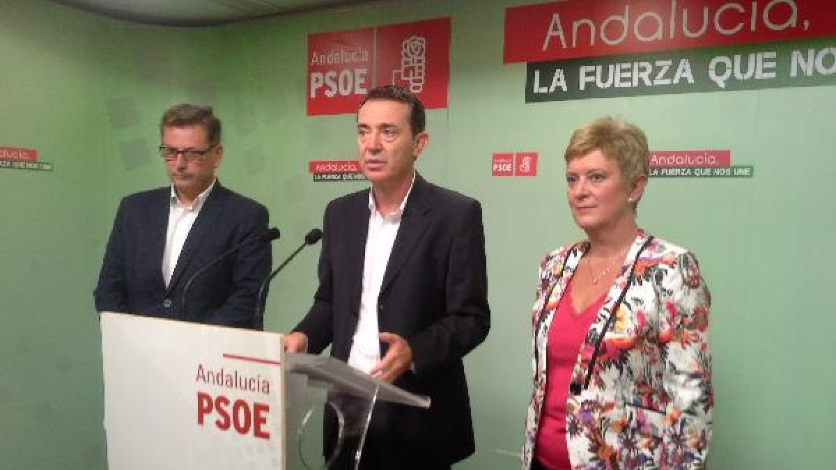 Rueda de prensa esta mañana en la sede del PSOE.